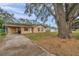 Ranch-style house with carport, large tree, and yard at 3829 Abbott Ln, Lakeland, FL 33810