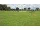 Dog park with grassy area and agility equipment at 9114 Sw 65Th Loop, Ocala, FL 34481