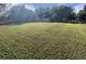 Large grassy backyard with a house in the distance at 6611 Hereford Dr, Lakeland, FL 33810