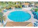 Circular resort-style pool with lounge chairs and palm trees at 1369 Palmetto Dunes St, Davenport, FL 33896