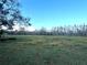 Open pasture with mature trees, offering tranquil views at 4915 Mount Pleasant Rd, Groveland, FL 34736