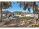 Spacious backyard with mature trees and privacy fence at 3805 Sw 115Th St, Ocala, FL 34476
