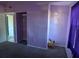 Small bedroom with purple walls and carpet at 2331 Olney Rd, Lakeland, FL 33801
