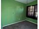 Simple bedroom with green walls and carpeted floor at 2331 Olney Rd, Lakeland, FL 33801