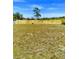 Large lot with a wooden fence and a chair at 11390 E Irlo Bronson Memorial Hwy, St Cloud, FL 34773