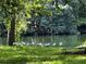 White ibises by the water's edge, serene waterfront view at 10801 Sw 185Th Ter, Dunnellon, FL 34432