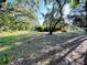 Large backyard with mature trees and open space at 250 W New York Ave, Orange City, FL 32763