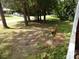 Partially wooded backyard with some cleared areas at 217 Catalonia Ave, De Leon Springs, FL 32130