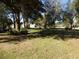 Large grassy yard with mature trees and shrubs at 207 E 2Nd Ave, Pierson, FL 32180