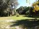 Large backyard with lush grass and mature trees at 207 E 2Nd Ave, Pierson, FL 32180