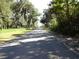 Long tree-lined driveway leading to the property at 207 E 2Nd Ave, Pierson, FL 32180