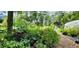 Backyard with many potted plants and greenhouse at 711 Sunset Ave, Orange City, FL 32763