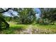 Pathway through a grassy area at 711 Sunset Ave, Orange City, FL 32763