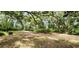 A dirt driveway surrounded by lush vegetation at 711 Sunset Ave, Orange City, FL 32763