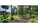 Overgrown backyard with potential for landscaping at 711 Sunset Ave, Orange City, FL 32763