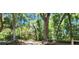 Long driveway leading to home through a tree-lined path at 711 Sunset Ave, Orange City, FL 32763