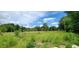 Overgrown field with tall grass and trees in the background at 711 Sunset Ave, Orange City, FL 32763