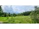 Wooded and grassy land at 711 Sunset Ave, Orange City, FL 32763