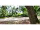 Lush backyard with mature trees and a variety of plants at 711 Sunset Ave, Orange City, FL 32763