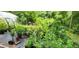 Potted plants and greenery in the backyard at 711 Sunset Ave, Orange City, FL 32763