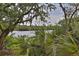 Serene waterfront view with lush vegetation at 1401 S Palmetto Ave # 402, Daytona Beach, FL 32114