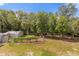 Spacious backyard with shed, grapevine, and lush trees at 3660 Grand Ave, Deland, FL 32720