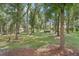 Wooded area with tall trees and a grassy clearing at 1582 Covered Bridge Dr, Deland, FL 32724