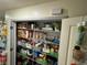 Well-organized pantry with ample shelving for storage at 1757 W Acadian Dr, Deltona, FL 32725