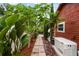 Landscaped backyard path with lush tropical plants and generator at 980 Bluebird Ter, Deltona, FL 32725