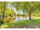 Serene waterfront view with lush greenery and a tranquil lake at 3836 Long Grove Ln, Port Orange, FL 32129