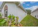 Side view showcasing house exterior, cacti, and a grassy area at 316 Dahoon Holly Dr, Daytona Beach, FL 32117