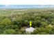 Aerial view of house surrounded by lush greenery at 5711 John Anderson Hwy, Flagler Beach, FL 32136