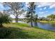 Backyard view of a canal with lush landscaping at 117 Wood Ibis Ct, Daytona Beach, FL 32119