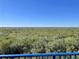 Aerial view of lush green landscape with waterway at 5300 S Atlantic Ave # 19-502, New Smyrna Beach, FL 32169