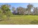 Large backyard with lush green grass and mature trees at 2236 River Ridge Rd, Deland, FL 32720