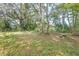 Wooded backyard area with picnic table and lush greenery at 855 E Church St, Deland, FL 32724