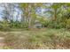 Wooded backyard area with storage shed at 855 E Church St, Deland, FL 32724
