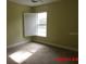 Bedroom with light green walls, plush carpet, and plantation shutters at 2301 9Th Ave, Deland, FL 32724