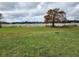 Spacious lakefront lot with a large tree and grassy area at 1216 W Wellington Dr, Deltona, FL 32725