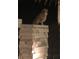 Barred owl perched on a pillar at 588 Mosaic Blvd, Daytona Beach, FL 32124