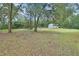 Spacious backyard with detached shed and mature trees at 955 N Ridgewood Ave, Deland, FL 32720