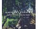 Wooden boardwalk through lush trees at 6923 Five Oaks Dr, St Cloud, FL 34773
