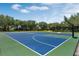 Community basketball court with blue and green surface at 6923 Five Oaks Dr, St Cloud, FL 34773