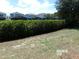 Backyard view with a privacy hedge and view of neighboring homes at 5537 Misty Oak Cir, Davenport, FL 33837