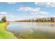 Serene lakefront property with lush landscaping and a tranquil atmosphere at 5631 Superior Dr, Lakeland, FL 33805