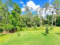 Lush backyard with mature trees and grass at 29912 Cypress Pointe, Deer Island, FL 32778