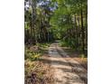 Dirt road winds through a wooded area at 891 Michigan St, Sanford, FL 32773
