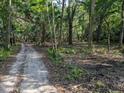 Dirt road through a wooded area at 891 Michigan St, Sanford, FL 32773