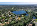 Property located in a lakefront community, showing the surrounding area at 3404 Rexford Cir, Ormond Beach, FL 32174