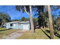 Ranch style home with a large tree in the front yard at 445 E Rosehill Ave, Deland, FL 32724